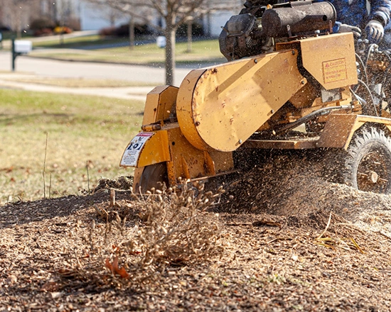 Professional Stump Grinding