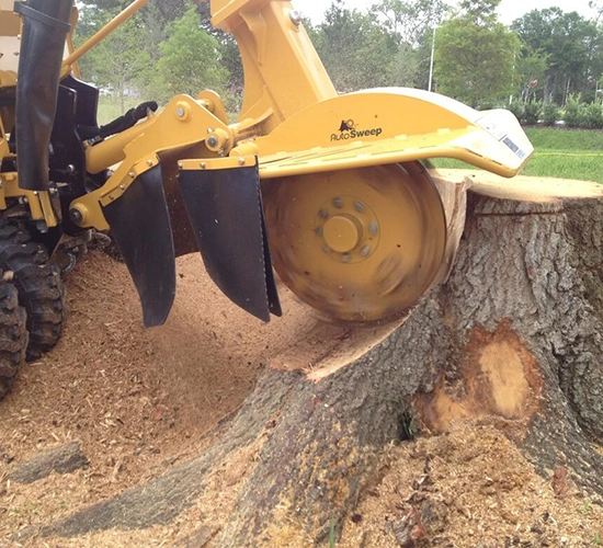 Trusted Stump Removal​